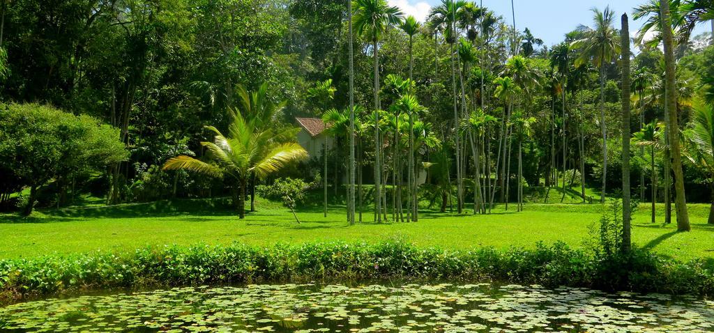 Siri Wedamadura Villa เวลิกามา ห้อง รูปภาพ